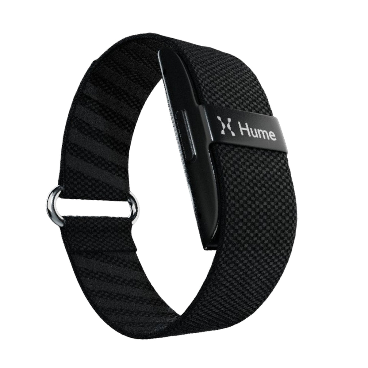 Hume Band + Lifetime